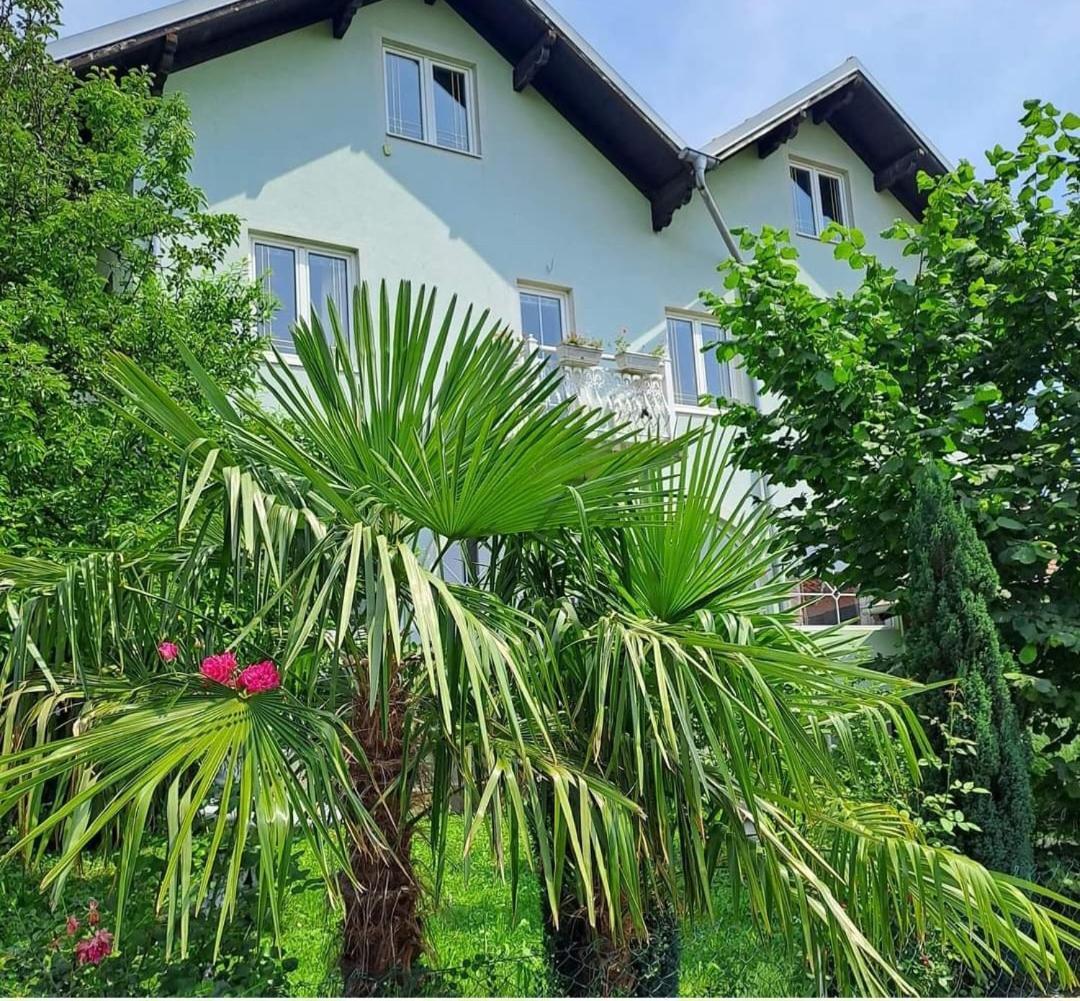 Smestaj Novakovic,Zdrelo Aparthotel Exterior photo