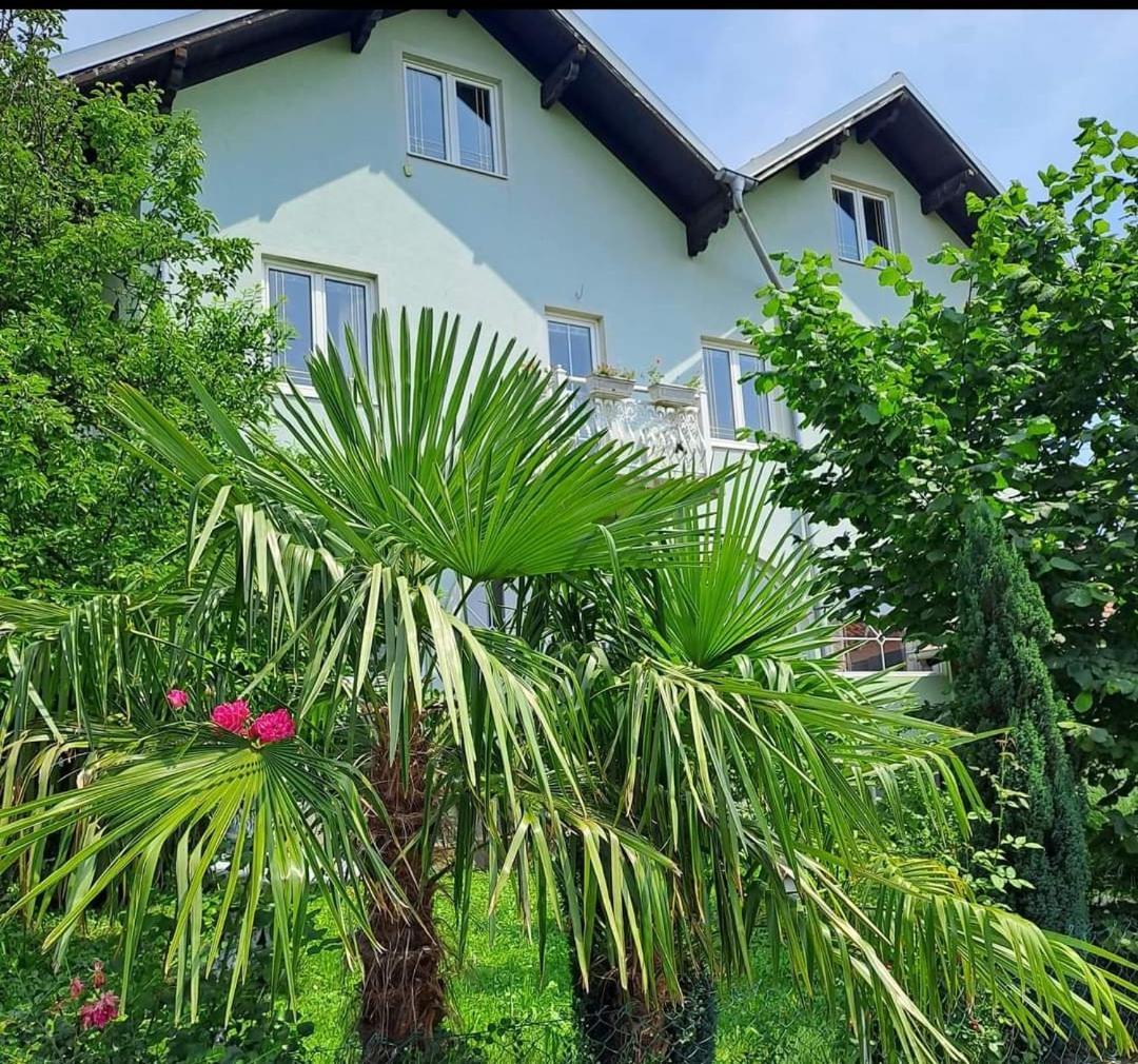 Smestaj Novakovic,Zdrelo Aparthotel Exterior photo